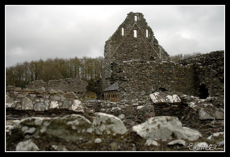 Glenluce Abbey: Photograph by Steve Milner